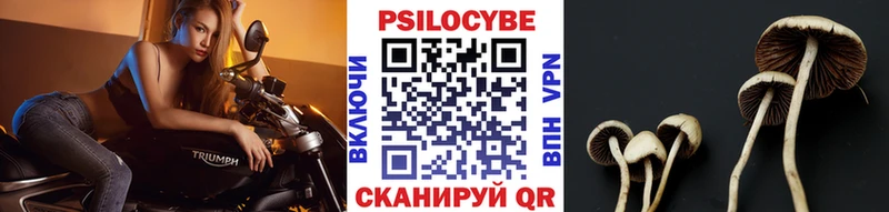 где найти наркотики  Ангарск  Псилоцибиновые грибы Magic Shrooms 